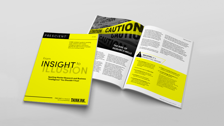 From Insight to Illusion