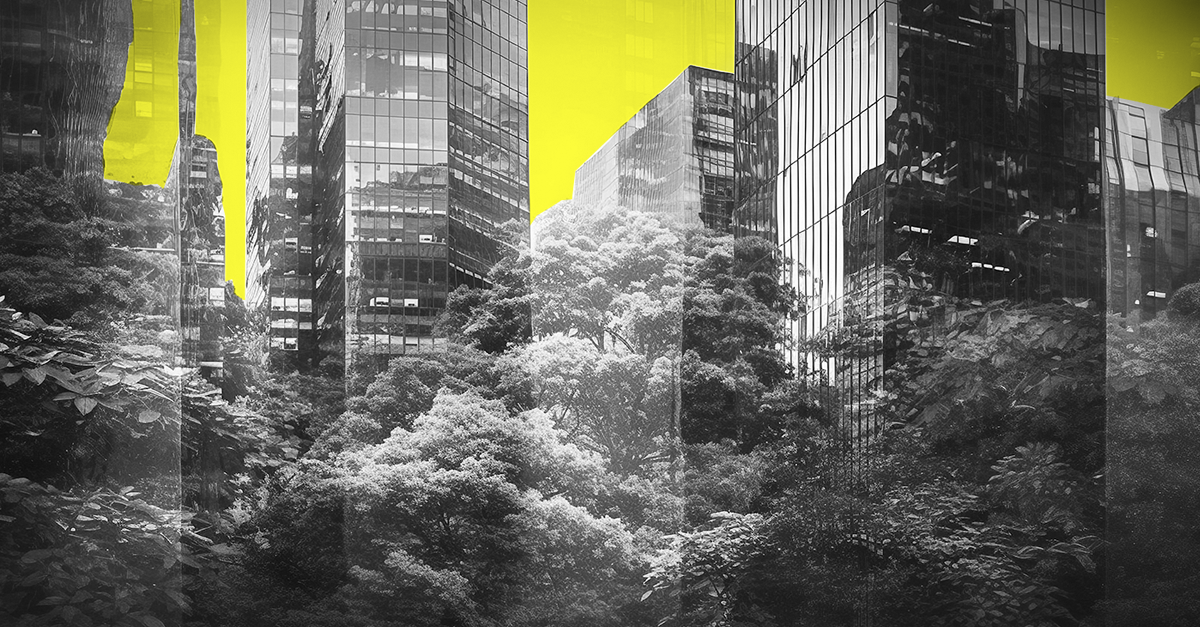 Six steps to building a deforestation-free supply chain