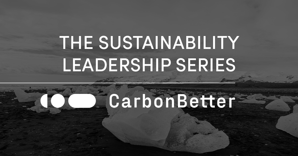 Sustainability leadership: Demystifing Corporate Sustainability