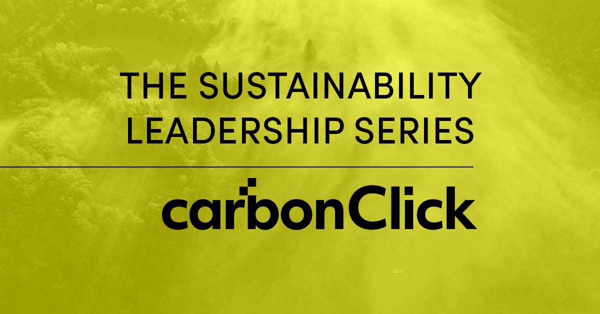 Sustainability leadership: Making carbon offsetting credible